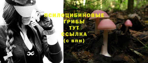 сатива Арсеньев