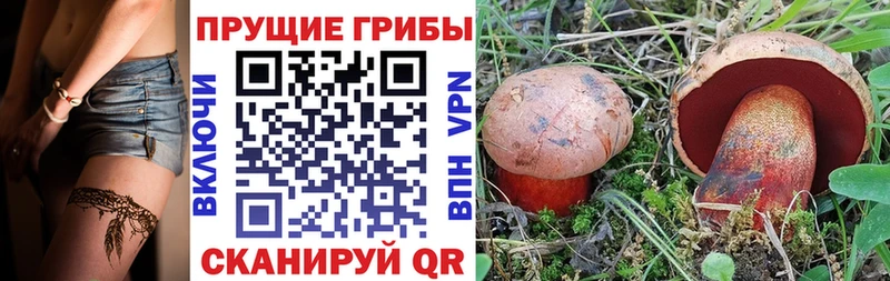 Галлюциногенные грибы прущие грибы  Славянск-на-Кубани 